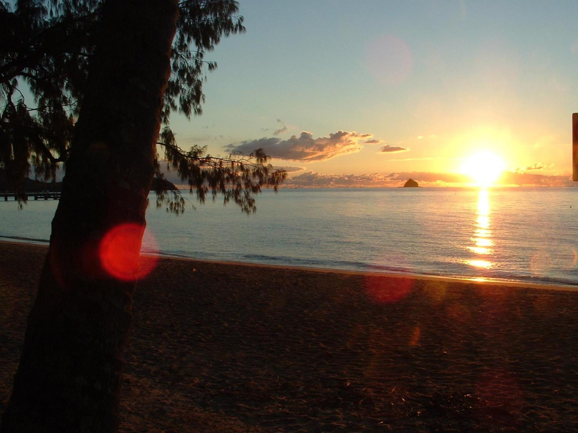 Marlin Waters Beachfront Apartments Palm Cove Zewnętrze zdjęcie