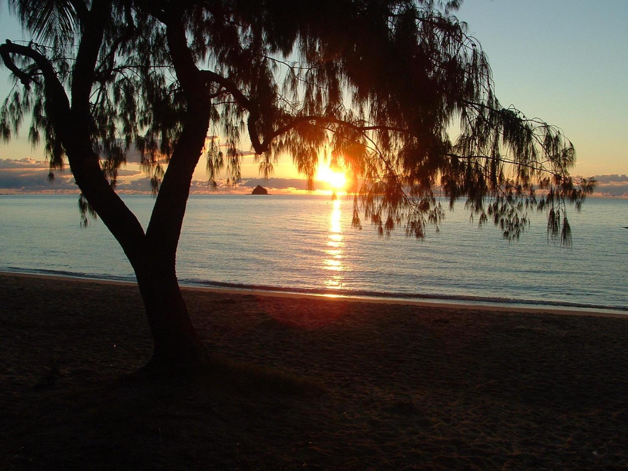 Marlin Waters Beachfront Apartments Palm Cove Zewnętrze zdjęcie