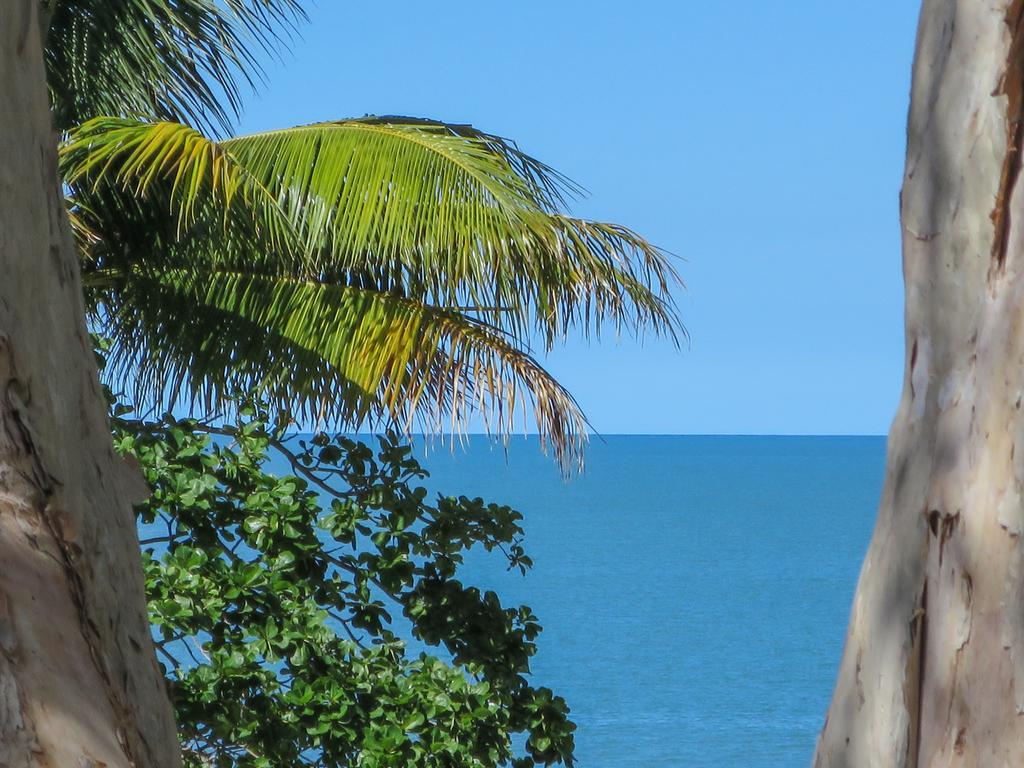 Marlin Waters Beachfront Apartments Palm Cove Zewnętrze zdjęcie
