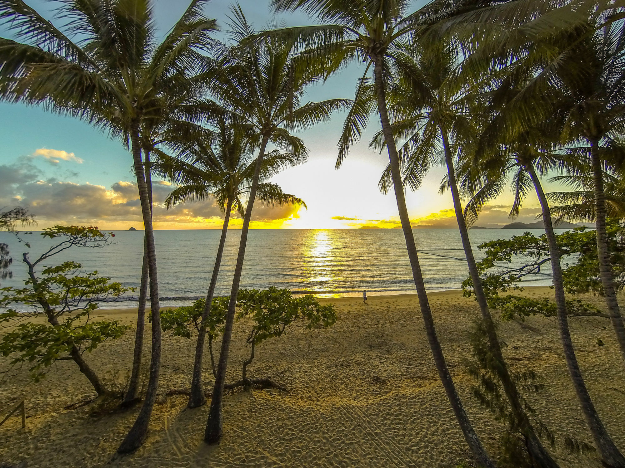 Marlin Waters Beachfront Apartments Palm Cove Zewnętrze zdjęcie