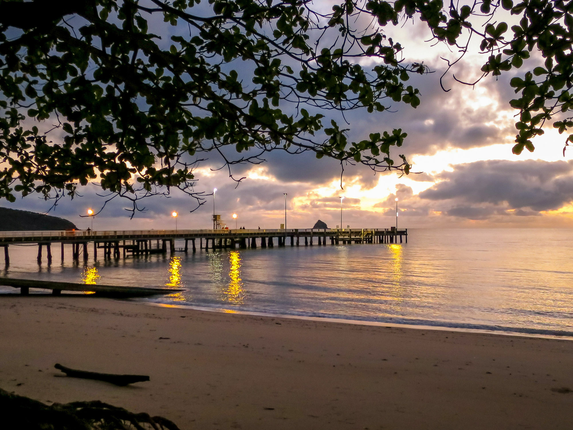 Marlin Waters Beachfront Apartments Palm Cove Zewnętrze zdjęcie